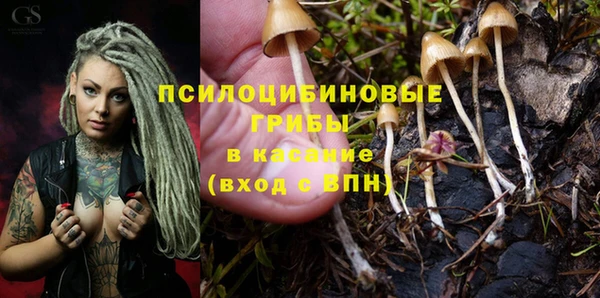 прущая мука Абинск