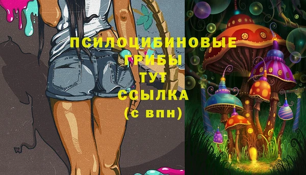 spice Абаза