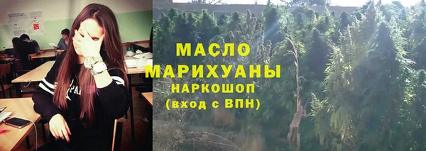 индика Покровск